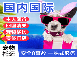 广州空运代理国际宠物托运 【国